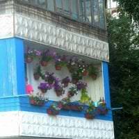 красивые цветы на балконе на перемычках пример картинка