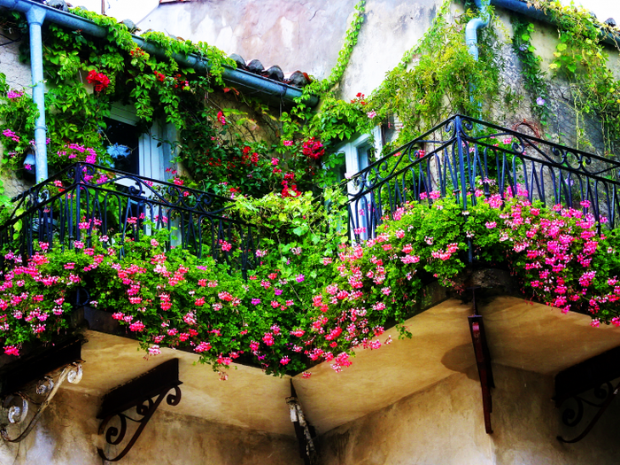 шикарные цветы на балконе на этажерках интерьер