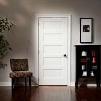 белые двери в дизайне с оттенком шоколадного фото