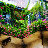 красивые цветы на балконе на этажерках интерьер картинка
