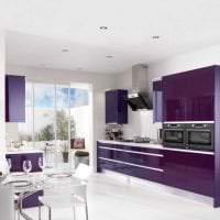 светлый стиль кухни в фиолетовом цвете фото