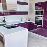 яркий декор кухни в фиолетовом оттенке картинка