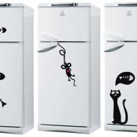 идея оригинального оформления холодильника на кухне картинка