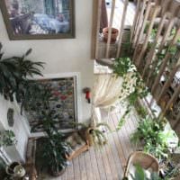 пример использования ярких идей оформления зимнего сада в доме фото