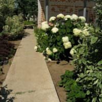 вариант применения красивых садовых дорожек в дизайне двора картинка