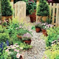 идея применения красивых садовых дорожек картинка