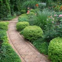 идея использования красивых садовых дорожек в дизайне двора фото