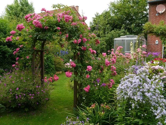 пример применения ярких роз в дизайне двора
