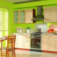 дизайн кухни с окном яркий интерьер