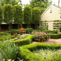 Кустарники под стрижку в дизайне маленького сада