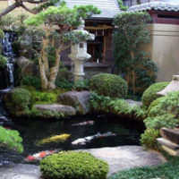 Уголок японского сада на дачном участке