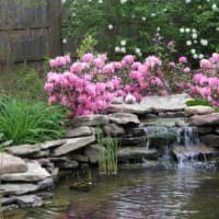 Розовые цветы над искусственным водопадом