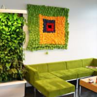 Живая стена из зеленых растений в гостиной