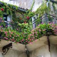 Небольшой балкон, усыпанный живыми цветами