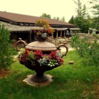 Античная ваза в роли садовой клумбы
