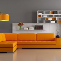Оранжевый диван и белые книжные полки