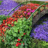Цветочная композиция в виде мостика через ручей