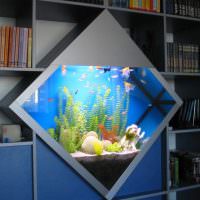 Встроенный аквариум в форме ромба