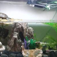 Аквариум для черепахи с надводной площадкой