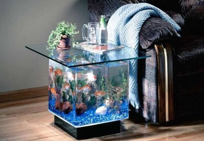Небольшой аквариум как предмет мебели