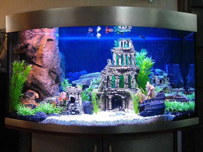Панорамный аквариум со смотровым стеклом выпуклой формы