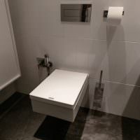 Квадратный унитаз в дизайне туалета