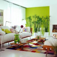 Зеленая стена в дизайне квартиры-студии