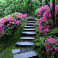 Садовая лестница из природного камня