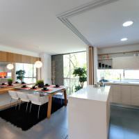 Дизайн кухни-гостиной с перегородкой раздвижной конструкции
