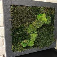 Объемная картина из зеленого мха