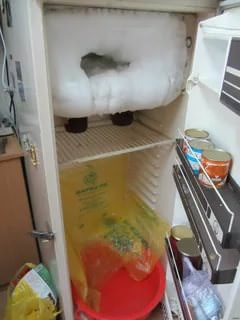 Обычно, морозилку реже отключают, нежели верхнюю холодильную камеру.