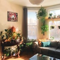 Гостиная с диваном и цветами на окне